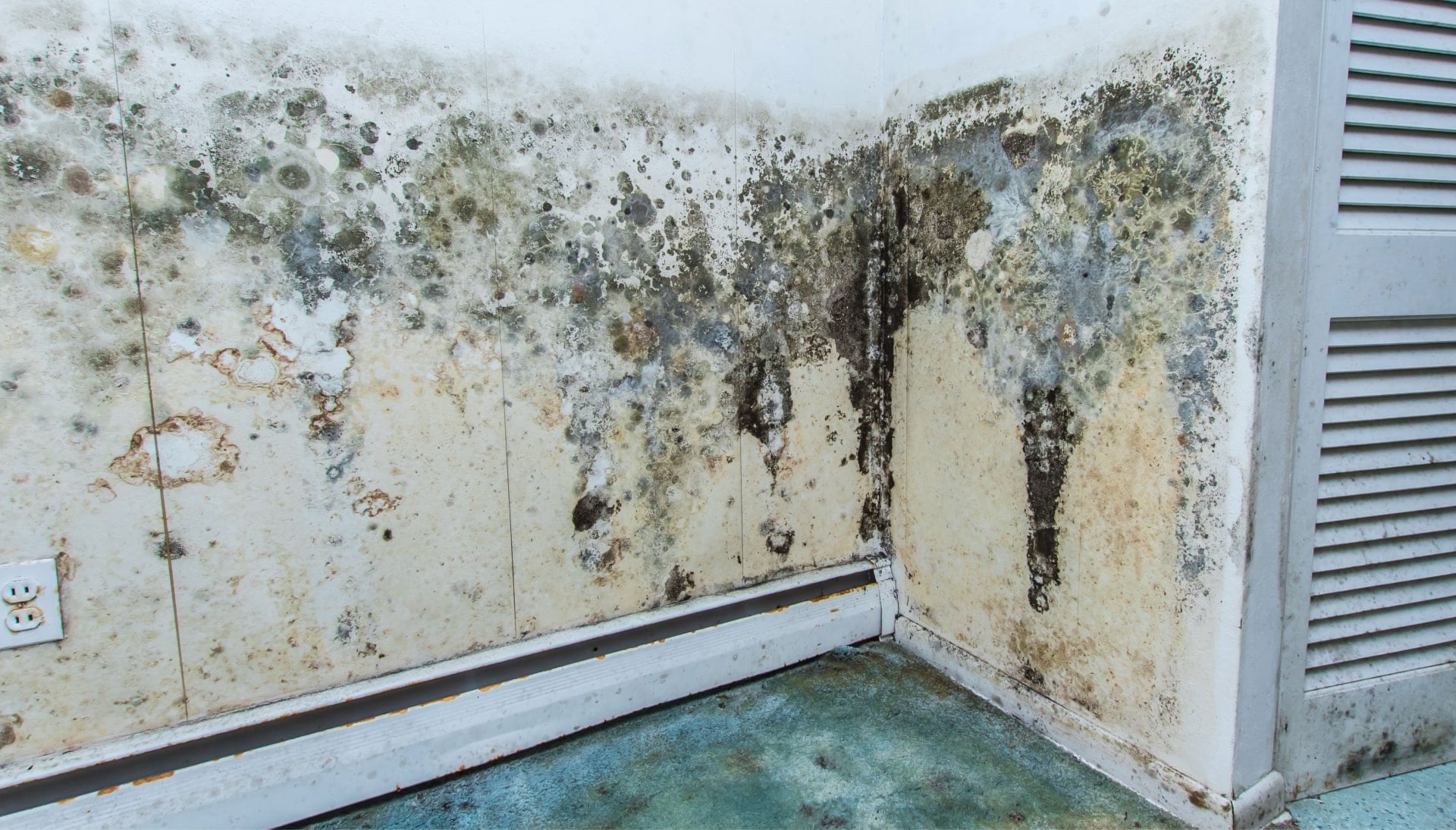 Mold Damage Odor Control Services in Flint