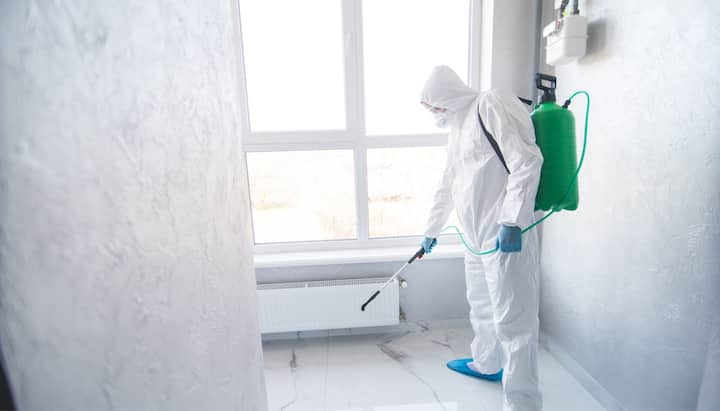 Mold Inspection Services in Flint